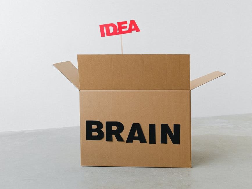 brain idea